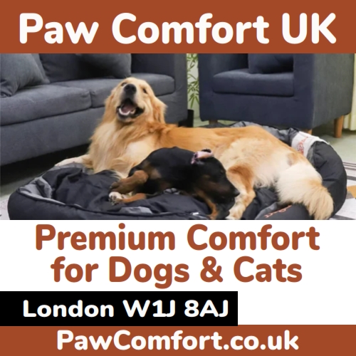 Paw Comfort